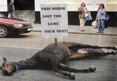 Dead horse