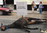 Dead horse