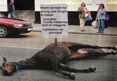 Dead horse