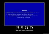 Blue Screen of Death (BSoD)