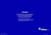 Blue Screen of Death (BSoD)