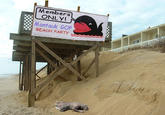 Montauk Monster