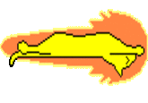 Speedycat
