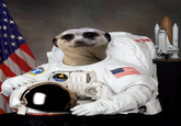 Harmony Central Amp Forum Astronauts!