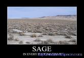 Sage