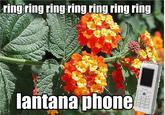 Bananaphone