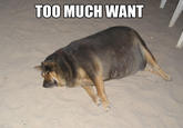 Do Want / Do Not Want