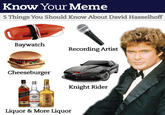 David Hasselhoff Drunk