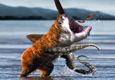 Bearsharktopus