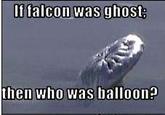 Falcon Heene