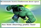 roommate hulk
