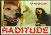 Weezer Raditude Dog