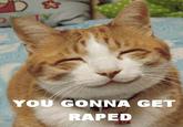 You Gonna Get Raped