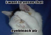 What Has Been Seen Cannot Be Unseen
