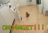GET
