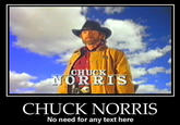 Chuck Norris Facts