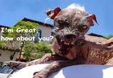 Sam the World's Ugliest Dog