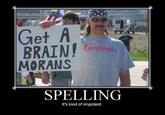 Get A Brain Morans