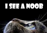 Noob