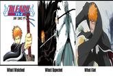 What I Watched / What I Expected / What I Got