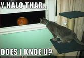 Y helo thar