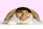 Boxxy
