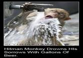 Hitman Monkey
