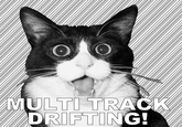 MULTI-TRACK DRIFTING