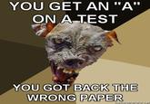 Cynical Dog