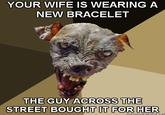 Cynical Dog