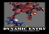 DYNAMIC ENTRY!