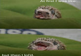 At First I Was Like...