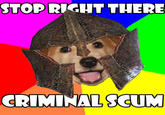 Stop right there criminal scum!