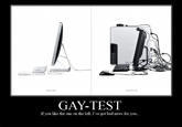 Gay Test