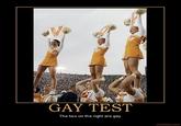 Gay Test