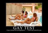 Gay Test