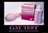 Gay Test