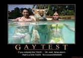 Gay Test