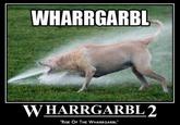 WHARRGARBL / Sprinkler Dog