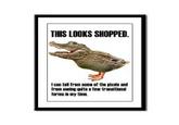 Crocoduck