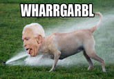 WHARRGARBL / Sprinkler Dog