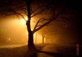 Slender Man