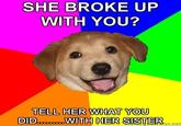 Advice Dog