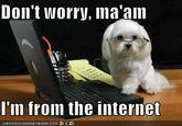 Don't Worry, I'm From the Internet