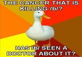 The Cancer That Is Killing /b/