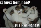 Is it can be hugs tiem now plees?