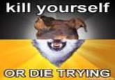 Combo Dog