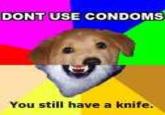 Combo Dog