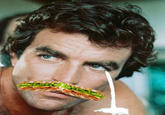 Selleck Waterfall Sandwich