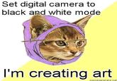 Hipster Kitty
